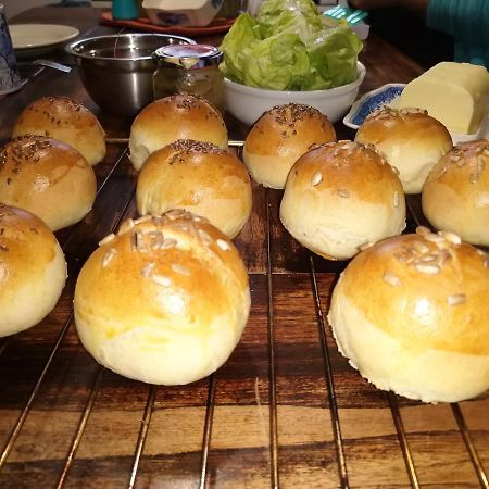 Pod Miotelka Wlen 外观 照片