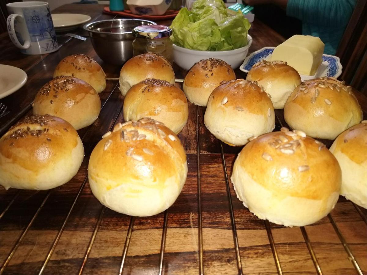 Pod Miotelka Wlen 外观 照片