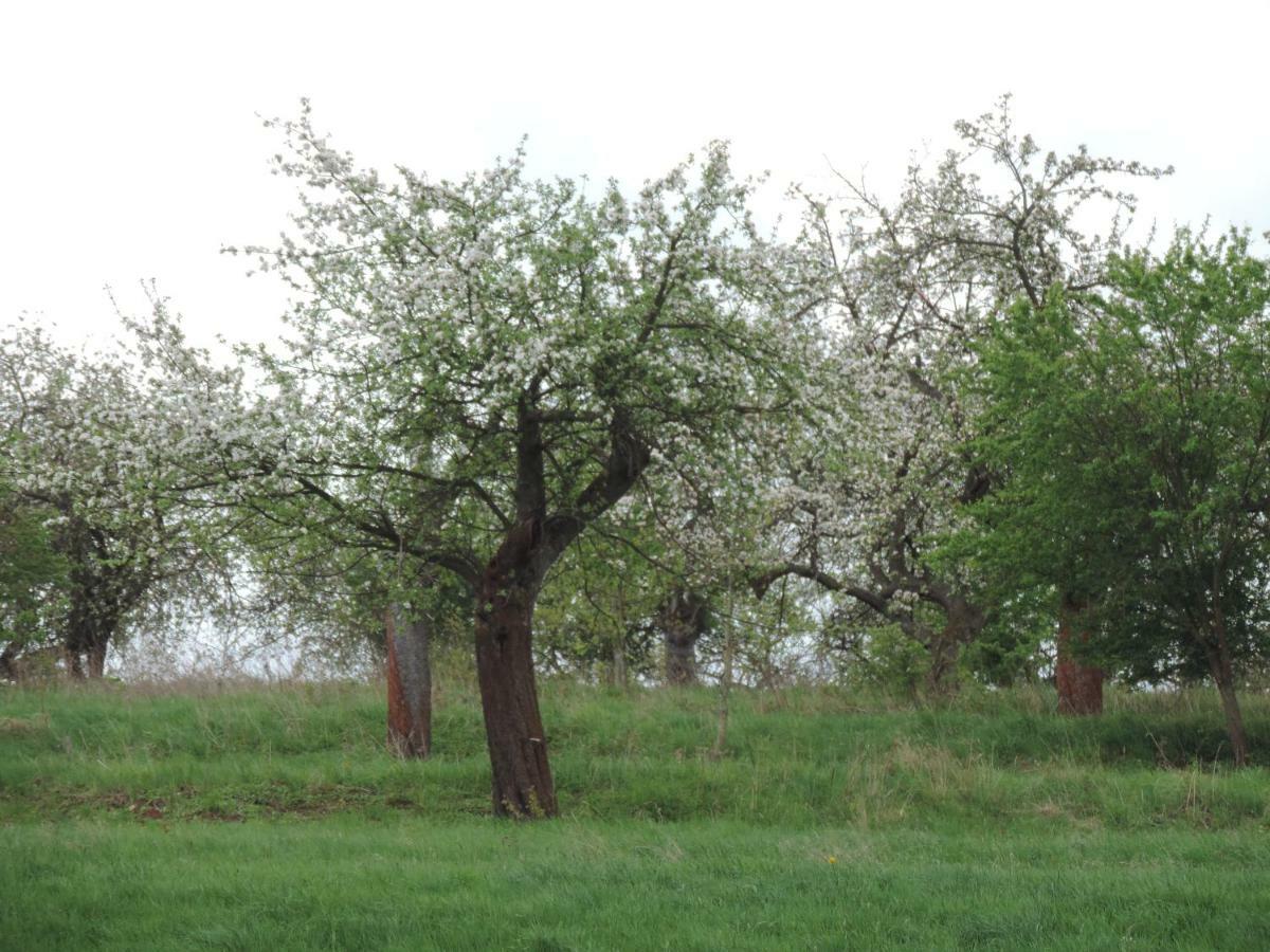 Pod Miotelka Wlen 外观 照片